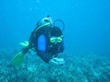 Diving around Maui